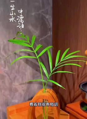 胡桃透明试管小花瓶日本风格愈合花水插花迷你实木桌面插花装饰品