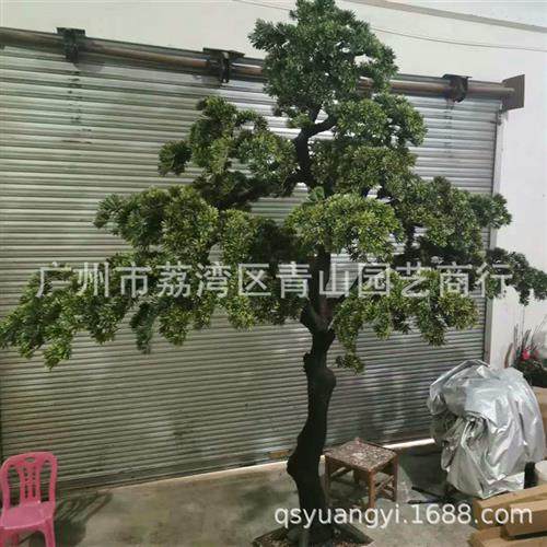 仿真罗汉松室内造景假树装饰摆件美人松装饰树景观大型假松树