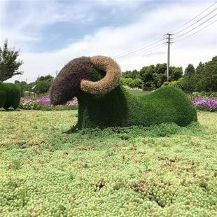 仿真植物造型雕塑绿雕园林大型景观彩色绿雕仿真草皮动物咨询