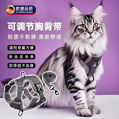 【德国精工】猫咪大号牵引绳