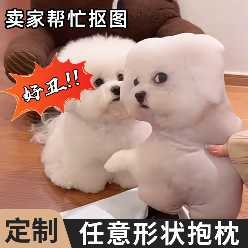 W立体娃娃自定义搞笑枕头人物无描边玩偶定制丑抱枕狗狗人形动物图片
