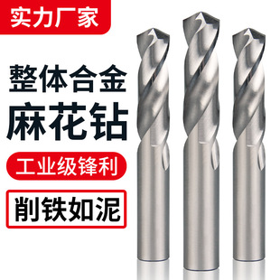钨钢硬质整体合金钻头高硬度钻头钻白钢不锈钢专用麻花钻头