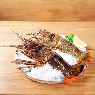 新鲜青龙虾鲜活冷冻大龙虾小青龙虾冰冻龙虾大虾花龙整只海鲜水产