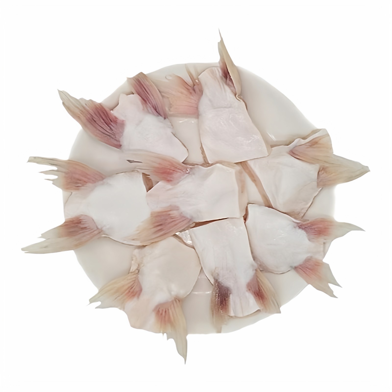 新鲜巴沙鱼鳍鱼翅回鱼芒鱼鮰鱼刺翅鱼腩冷冻海鲜水产烧烤商用批发