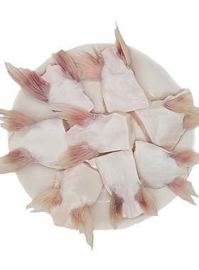 新鲜巴沙鱼鳍鱼翅回鱼芒鱼鮰鱼刺翅鱼腩冷冻海鲜水产烧烤商用批发