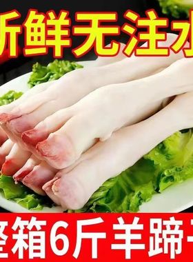 新鲜生羊蹄冷冻羊脚小羊蹄带筋羊蹄羊排羊杂羊肉羊蹄子烧烤5斤装