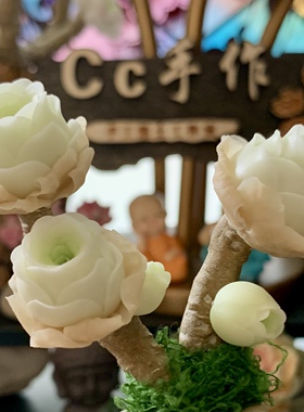 Cc原创迷你树脂黏土仿真多肉玫瑰植物小老桩水晶虾饺汽车摆件生日