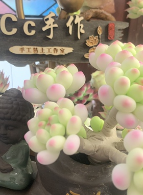 Cc仿真多肉植物成品手工树脂粘土花劳尔桌面室内装饰摆件生日礼物
