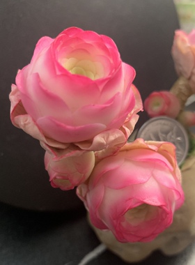 Cc原创迷你树脂黏土仿真多肉玫瑰植物小老桩水晶虾饺汽车摆件生日