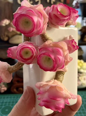 Cc原创迷你树脂黏土仿真多肉玫瑰植物小老桩水晶虾饺汽车摆件生日