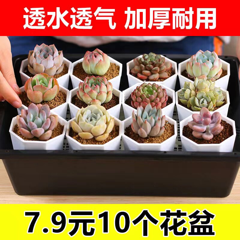 日系简约时尚清爽白色