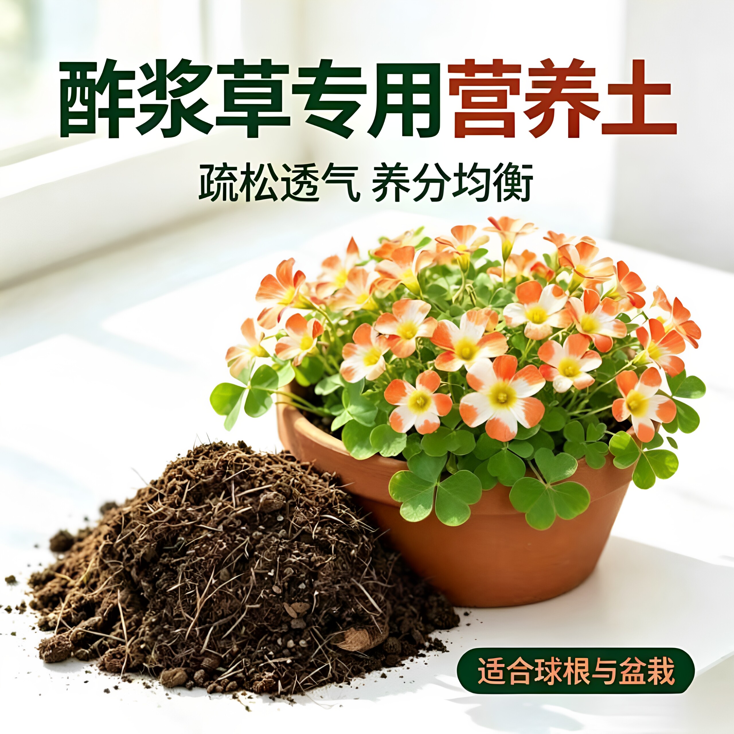 【丁咔】酢浆草营养土早花ob糖果盒饼类球根宿根土家用养花卉土壤