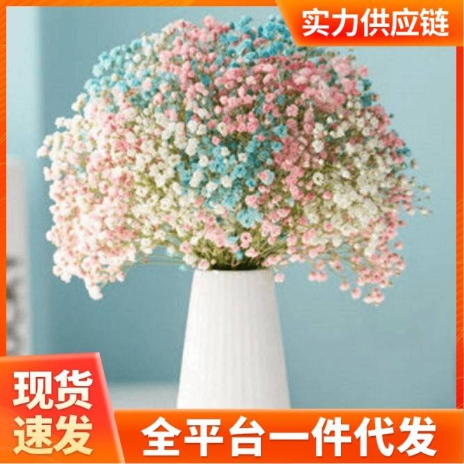 满天星干花花束小清新家摆设装饰客厅办公室摆件风干勿忘我