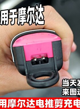 适用摩尔达铲草机发廊理发充电器MRD脑花主推充电线3969-3 3969X