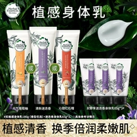 Фамилии травяных эссенций 苎    硖 橹 H H H H   笏? 80G