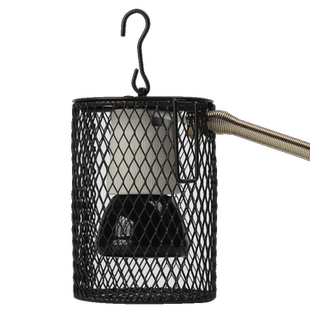 鹦鹉保温灯宠物专用保暖取暖陶瓷灯鸟笼恒温器蜜袋鼯加热器防烫网