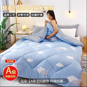 被子冬被被芯冬季加厚保暖棉被春秋被冬天丝绵空调被学生单人宿舍