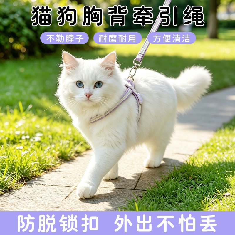 猫咪牵引绳防挣脱外出专用8字型小奶猫背心式遛猫绳可调节猫链子