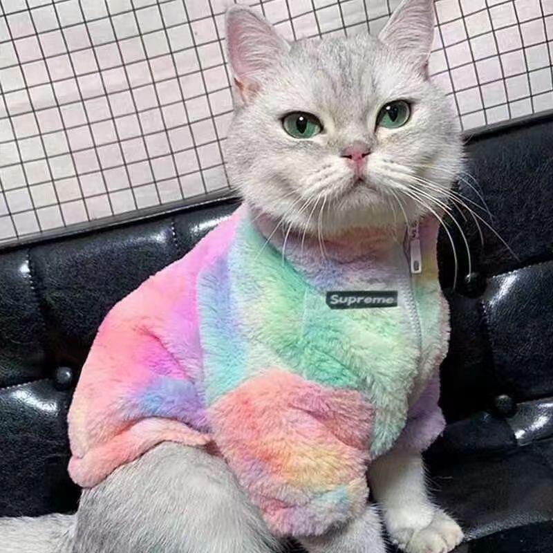 狗狗猫咪加绒棉衣外套小型犬加厚秋冬装雪纳瑞泰迪棉衣彩色皮草衣