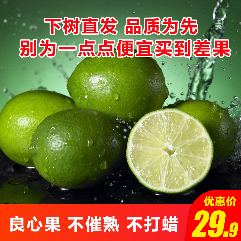 柠果乐 青柠檬5斤整箱带箱新鲜一二级柠檬当季新鲜水果中小果