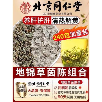 地锦草茵陈养肝茶中药材新
