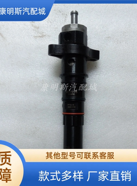 康明斯原装喷油器3077715  3076700 用于KTA19-P发电机组柴油机油