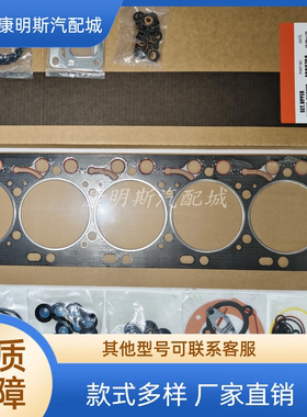 康明斯6L发动机上下修包/4089758 3800343