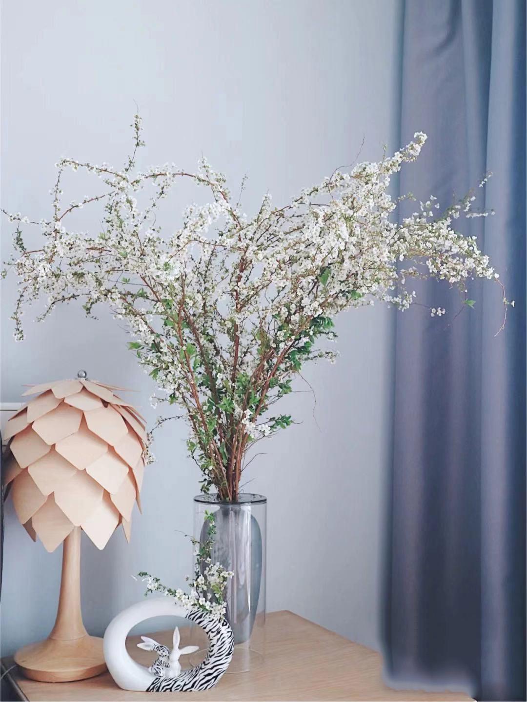 雪柳 水培 开花 喷雪 花束 干枝水养鲜枝