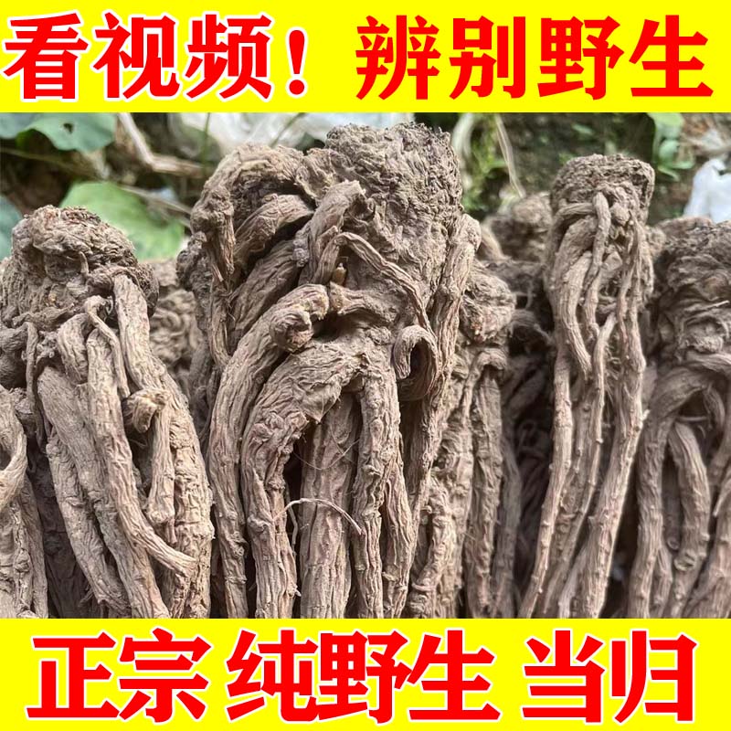 野生老当归500克岷县全当归整根甘肃中药材特级正品党参黄芪当归