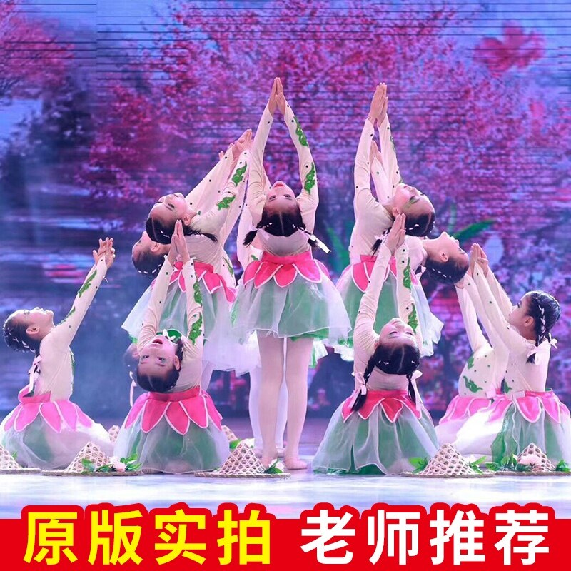 小荷风采小草的天空舞蹈服我家住在桃花山儿童演出服桃花山表演服