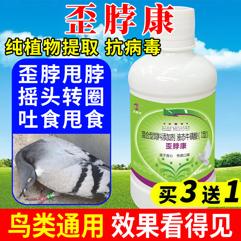 歪脖康鸽子歪脖仰头歪脖沙门氏菌歪头扭脖赛鸽信鸽用歪脖灵鸽保健