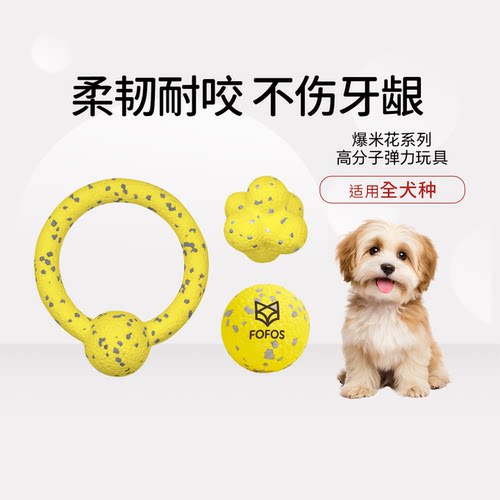 FOFOS狗狗玩具球耐咬宠物玩具