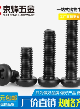 M2.5M3M4M5M8 黑色316不锈钢圆头十字螺丝钉黑色螺栓PM盘头机螺钉