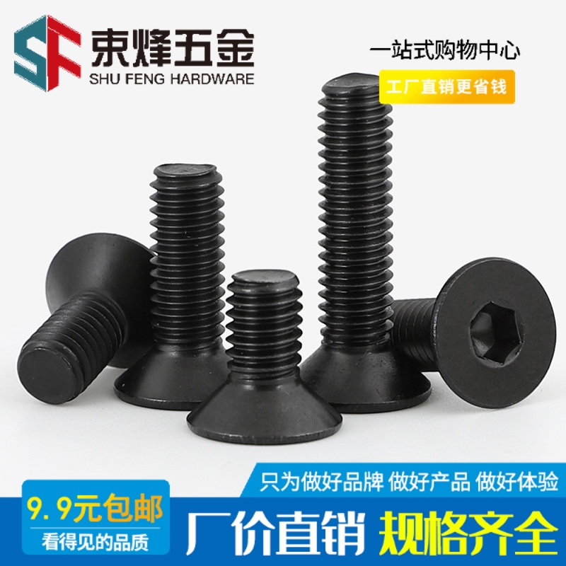 黑色沉头内六角316不锈钢