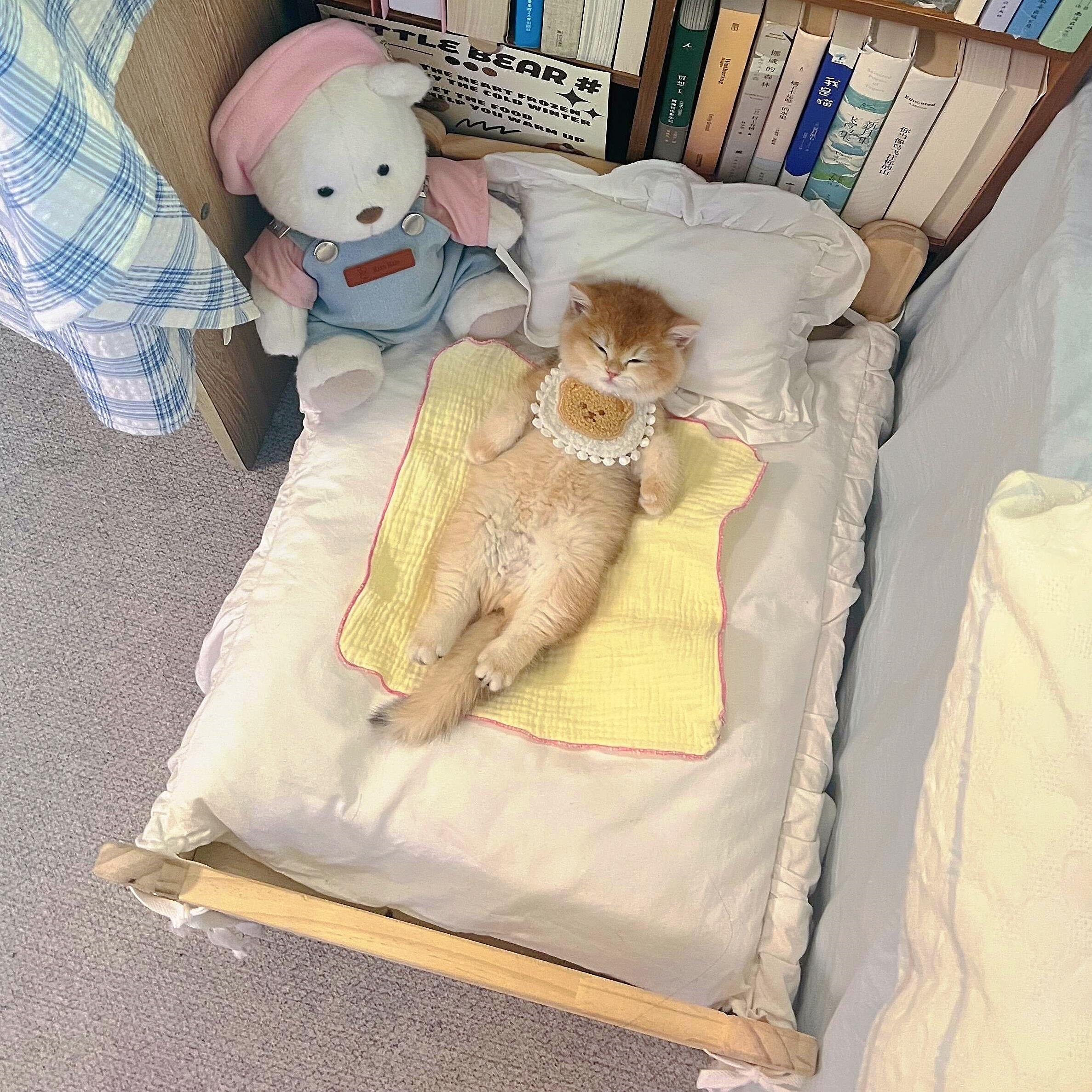 四季通用实木中小型宠物用品床