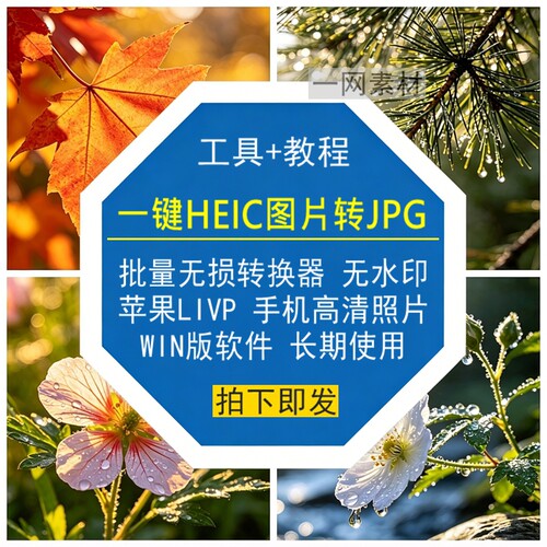 HEIC图片转JPG批量转换器无损苹果LIVP手机高清照片WIN版软件工具