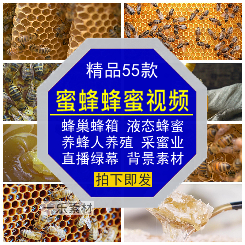 蜜蜂蜜视频养殖蜂巢箱人采蜜业液态直播带货绿幕剪辑高清背景素材