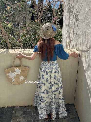 【促销特价】春夏温柔复古青花浪漫碎花半身裙法式度假风长裙女