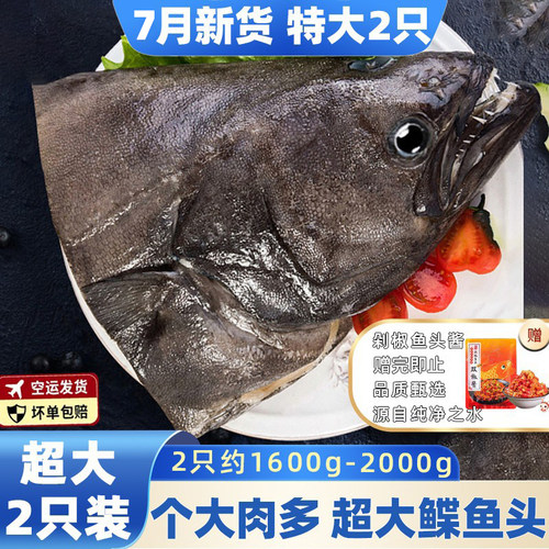 格陵兰深海碟鱼头新鲜雅片鱼头鸦片鱼头商用精品皇冠特大鲽鱼头