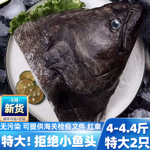 特大深海鲽鱼头新鲜冷冻雅片鱼头海鲜精品商用皇冠碟鱼头可辅食