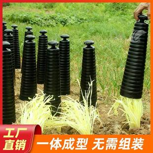 蒜黄遮阳罩韭黄种植神器庭家用种植筒阳台种菜家扣蒜黄罩子套筒