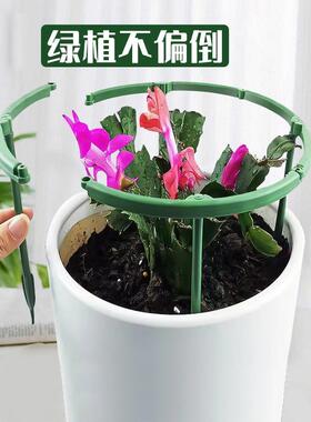 植物支撑杆园艺台支架花架爬藤室内阳户外绿萝蟹爪兰固定倒伏防倒