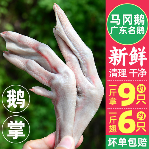 生鲜马冈鹅掌翅清理干净真空装