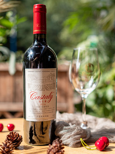 凯仕丽酒庄神话2016葡萄酒干型赤霞珠红酒宁夏东麓贺兰山产区