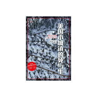 美国小城镇的死与生 [美]尼克·雷丁 著 译文纪实 徐晓丽 译 富人赚够了走了 穷人嗑嗨了完蛋了 上海译文出版社 正版