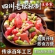 四川王婆家泡菜泡萝卜母水老料泡酸豇豆辣椒大蒜孕妇下饭菜罐装