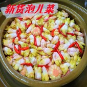 四川王婆家泡菜泡萝卜母水老料泡酸豇豆辣椒大蒜孕妇下饭菜罐装