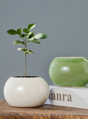 多彩小圆球花盆小清新陶瓷多肉花盆创意现在简约花插出口