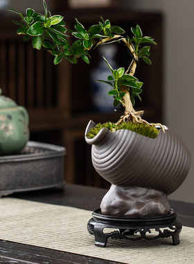 桌面复古无孔铜钱草陶瓷简约家居水培容器中式插花器高档绿植花盆