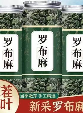 新疆直发罗布麻正宗新芽嫩叶罗布泊罗布麻叶养生茶中老年萝卜麻茶